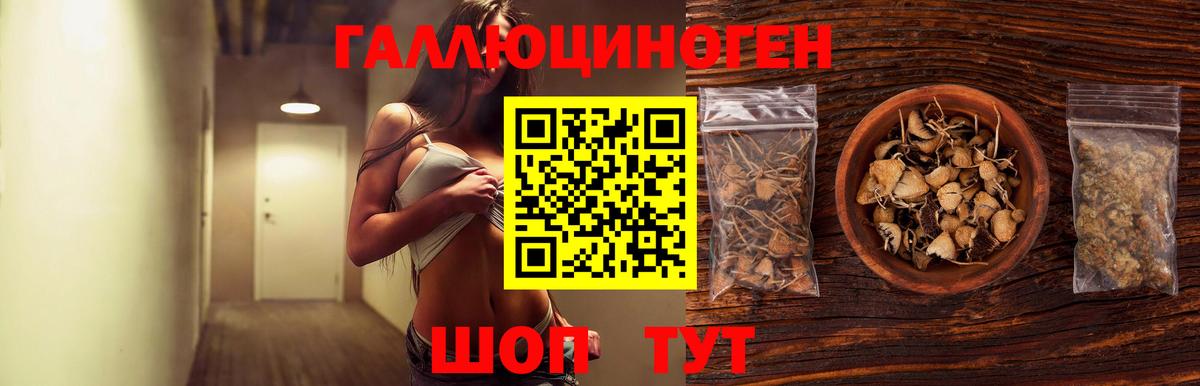 Псилоцибиновые грибы Psilocybe  Вход с VPN  Чусовой 